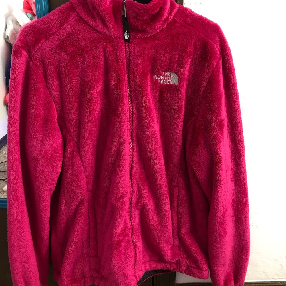 The north face jacket